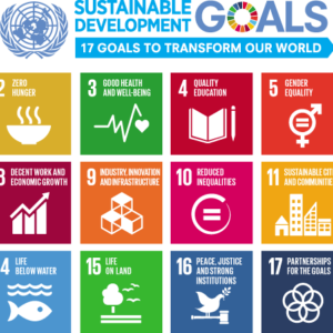Enquête voor bedrijfsleven – input ophalen voor SDG brochure en voor nationale SDG rapportage