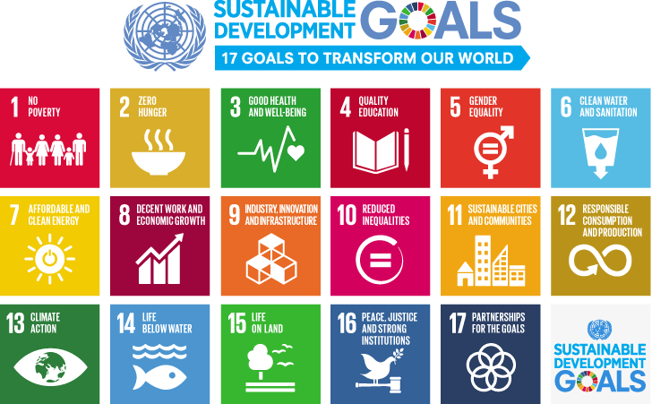 De bedrijfspraktijk & SDG’s: van bewustwording naar impact!