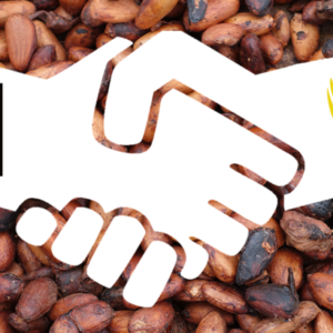 Fairtrade gaat samenwerking aan met International Cocoa Initiative
