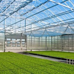 Reactie Glastuinbouw Nederland op actieplan Europese Commissie voor biologische productie