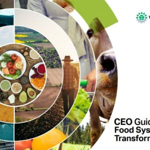 CEO Guide to Food System Transformation
