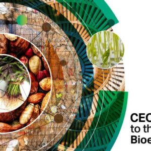 Leading companies endorse WBCSD’s call for a stronger circular bioeconomy