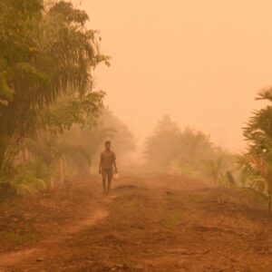 Greenpeace: "Unilever ondanks mooie beloftes betrokken bij Indonesische bosbranden voor palmolie"