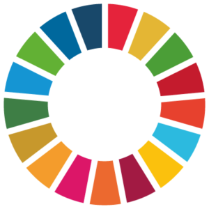 'Met SDG's als richtlijn is de formatie zo gepiept'