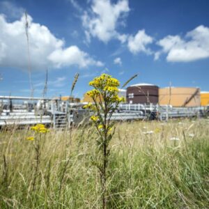 Bedrijven en overheid willen grootschalige groene 1 GW waterstoffabriek in Delta regio (Zeeland)