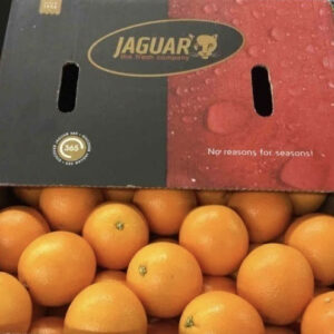 Jaguar The Fresh Company start met jaarrond fairtrade  ‘Clean Citrus' sinaasappels