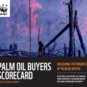 Most brands fail to fully support sustainable palm oil adding to destruction of nature, WWF Scorecard shows