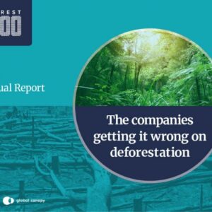 Global brands ignoring deforestation caused by commodities they use