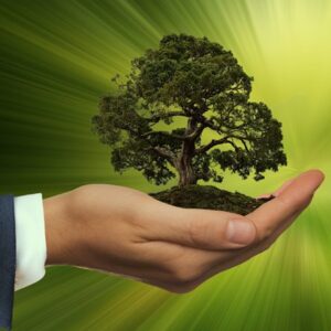 FNV: ‘Ondernemingsraden moeten nu echt aan de bak voor duurzaamheid’