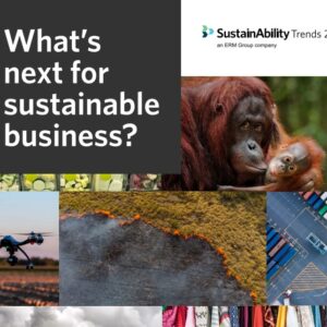 What’s next for sustainable business? Sustainability trends for 2020
