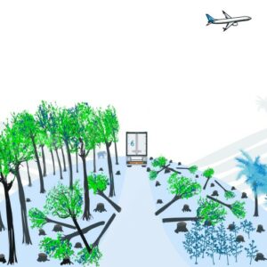 Milieudefensie: "Inzet biobrandstoffen in de luchtvaart en vervoersector als olie op het vuur"