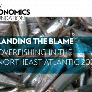 Netherlands 4th Worst Country for EU Overfishing 2001-2020