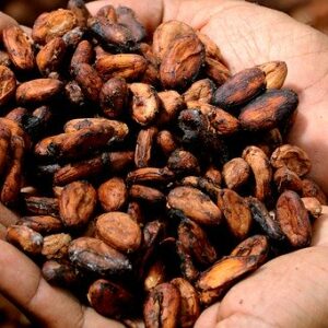 Cacao in chocola is nu traceerbaar naar land van herkomst