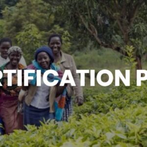De Rainforest Alliance introduceert haar verbeterde certificeringsprogramma en standaard