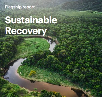 IEA offers world governments a Sustainable Recovery Plan to boost ...