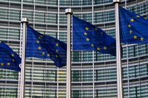 EU wil alleen nog ‘ontbossingsvrije’ producten