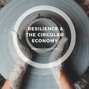 Will the circular economy transition also boost resilience?