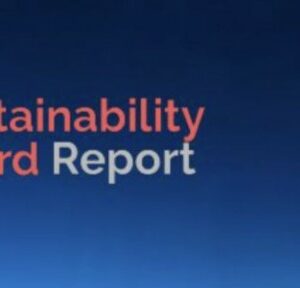 The Sustainability Board Report 2020​