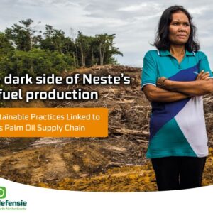 Milieudefensie: Leveranciers Neste verantwoordelijk voor kap 10.000 hectare regenwoud