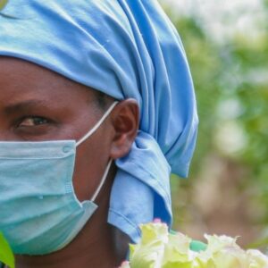 Hivos en True Price lanceren eerlijke roos