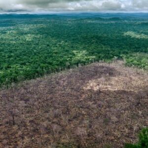 Een gebied van 10 keer Nederland ontbost in Azië, Afrika en Zuid-Amerika voor landbouw