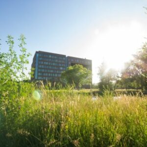 WUR voor de vierde keer op rij de duurzaamste universiteit ter wereld, Leiden en Groningen ook in top 10