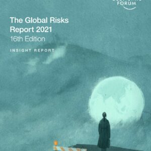 Environmental risks dominate by impact and likelihood the Global Risks Report 2021