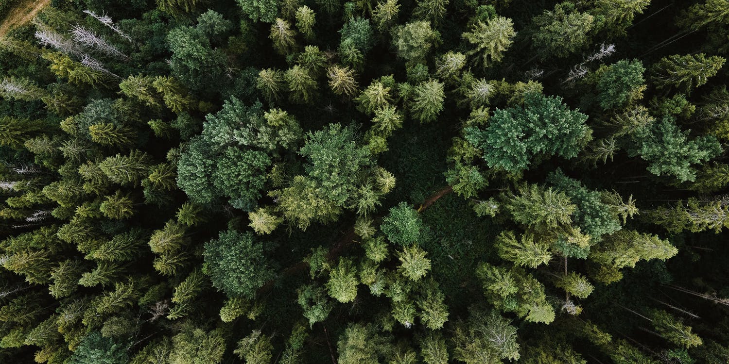 IBM Commits To Net Zero Greenhouse Gas Emissions By 2030 - Duurzaam ...