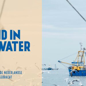 Nederlandse visserij wordt steeds duurzamer, 80% is MSC gecertificeerd
