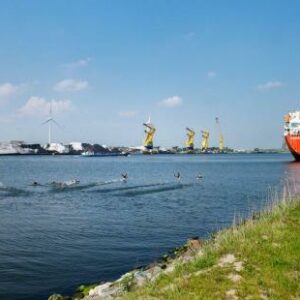 Amsterdamse haven wil koploper zijn in duurzame transitie