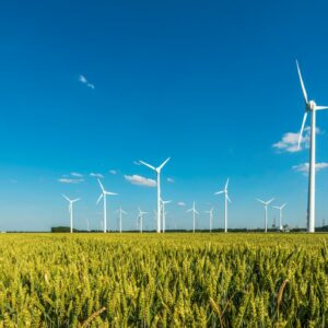 Voor effectief klimaat- en energiebeleid kan Nederland leren van buurlanden
