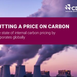 Nearly half of world’s biggest companies factoring cost of carbon into business plans