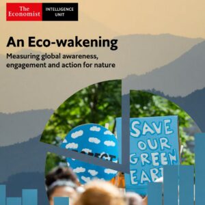 Search for Sustainable Goods Grows by 71% As ‘Eco-Wakening’ Grips the Globe