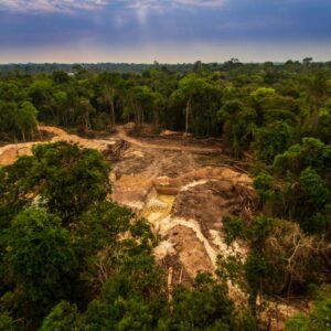 Greenpeace: ''Europese wet tegen ontbossing onvolledig'
