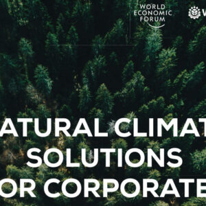 Investments in nature given boost by new guidance on quality from the Natural Climate Solutions Alliance
