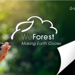 Renewd gaat samenwerking aan met WeForest en wordt nog duurzamer
