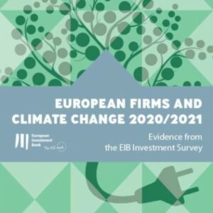 New EIB study: How do EU and US firms perceive and invest in climate change?