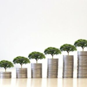 RLI-advies: 'Zet Groeifonds gericht in voor duurzame groei'