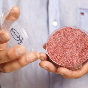 Mosa Meat en Nutreco ontvangen EU-subsidie voor onderzoek maken kweekvlees van reststromen diervoeding
