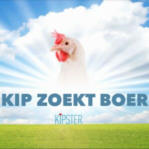 Kipster gaat nieuwe boerderijen bouwen in Nederland