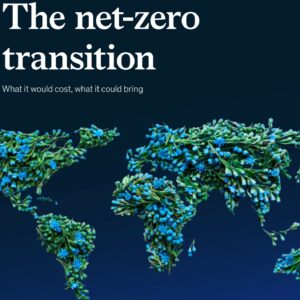 The net-zero transition: What it would cost, what it could bring
