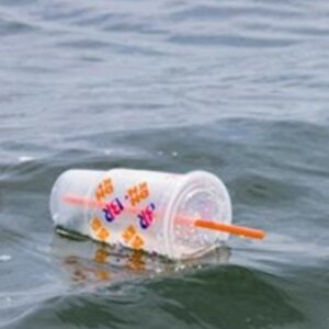 In 2024 zijn plastic wegwerpbekers en -maaltijdverpakkingen in principe niet toegestaan