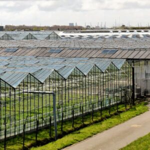 Glastuinbouw doet aanbod aan politiek en maatschappij voor impuls energietransitie