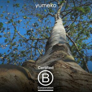 Duurzaam beddengoedmerk Yumeko behaalt B Corp-status