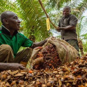 ''Investeer in duurzame palmolie en stop boycots"