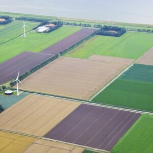 Agrifoodmonitor 2022 - Overschakelen op meer plantaardig eten: het gaat ons niet gemakkelijk af