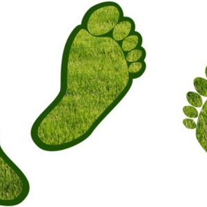 footprint_goed