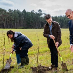 Werknemers Ordina planten 25.000 bomen