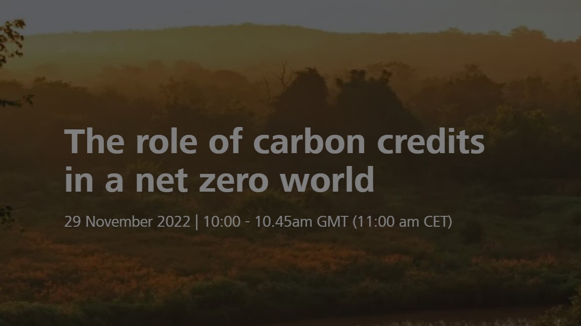 Webinar 'The role of carbon credits in a net zero world'