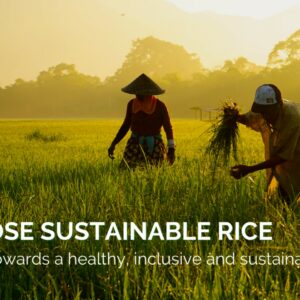 Sustainable Rice Platform (SRP) lanceert campagne om duurzamere rijstteelt onder de aandacht te brengen